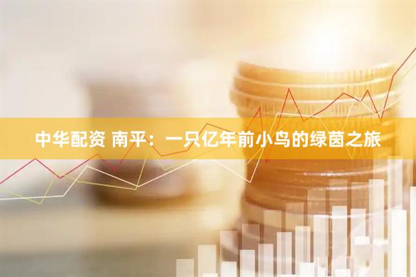 中华配资 南平：一只亿年前小鸟的绿茵之旅