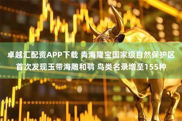 卓越汇配资APP下载 青海隆宝国家级自然保护区首次发现玉带海雕和鹗 鸟类名录增至155种